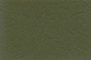 Olive Green 12B27 Olive Green 12B27